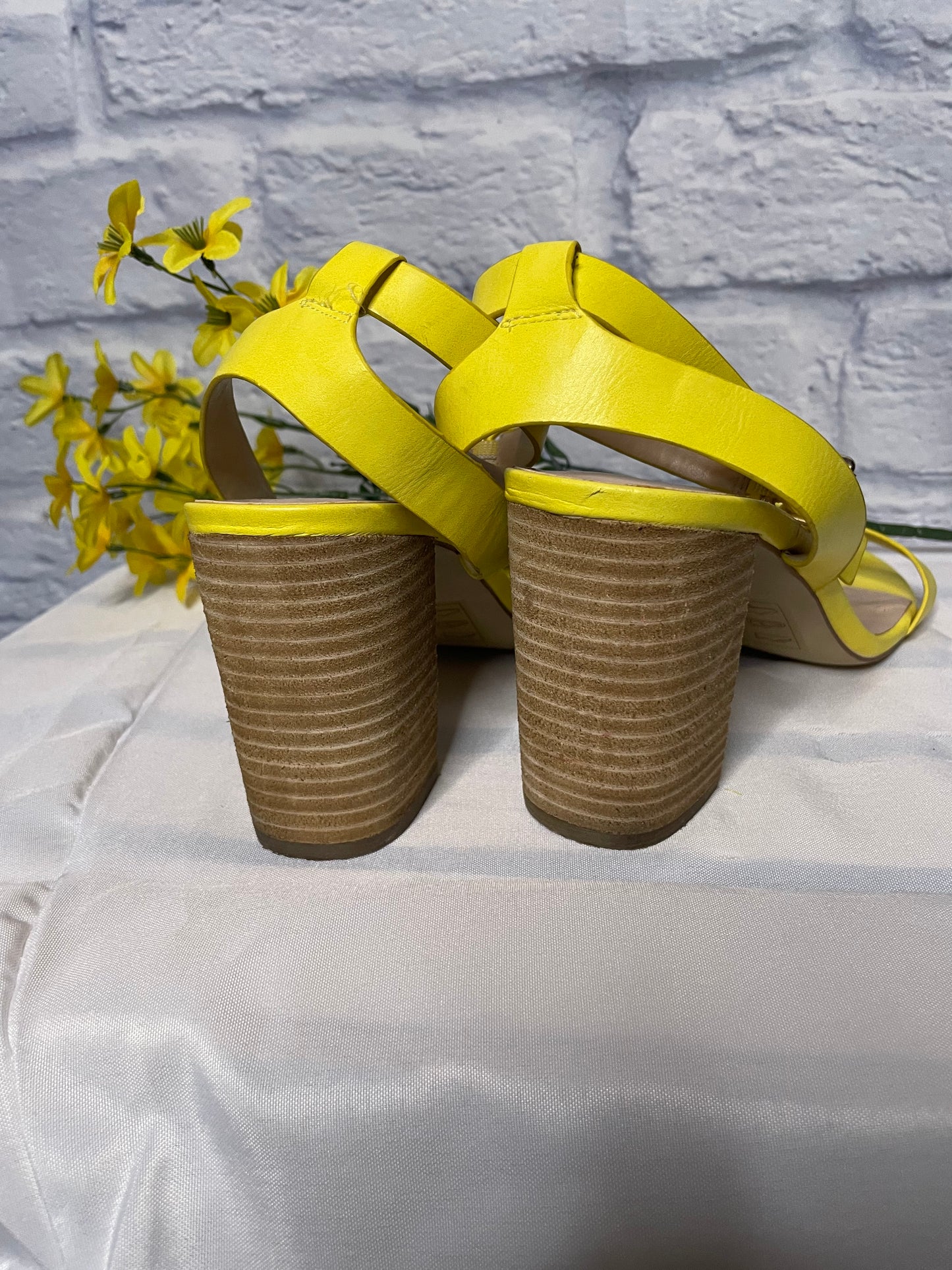 Aldo Chunky Heeled Sandals