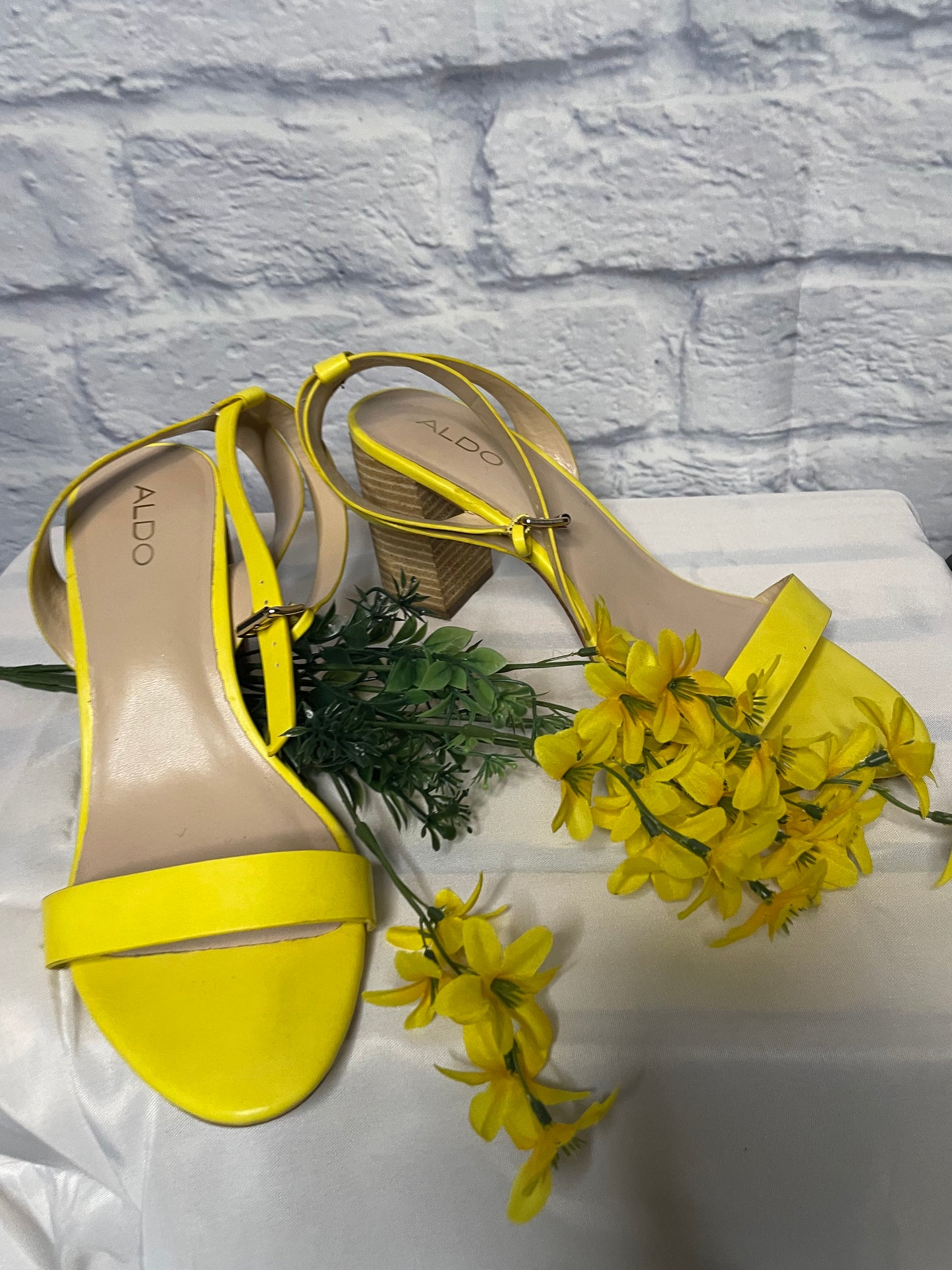 Aldo Chunky Heeled Sandals